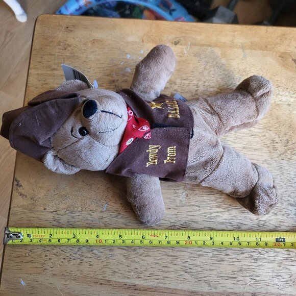 Plush Bear Howdy From Dallas Sheriff Cowboy Bear Texas Zoona 2002 Stuffed Bear - Picture 8 of 8